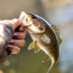 Fishing Bliss in Mohave County